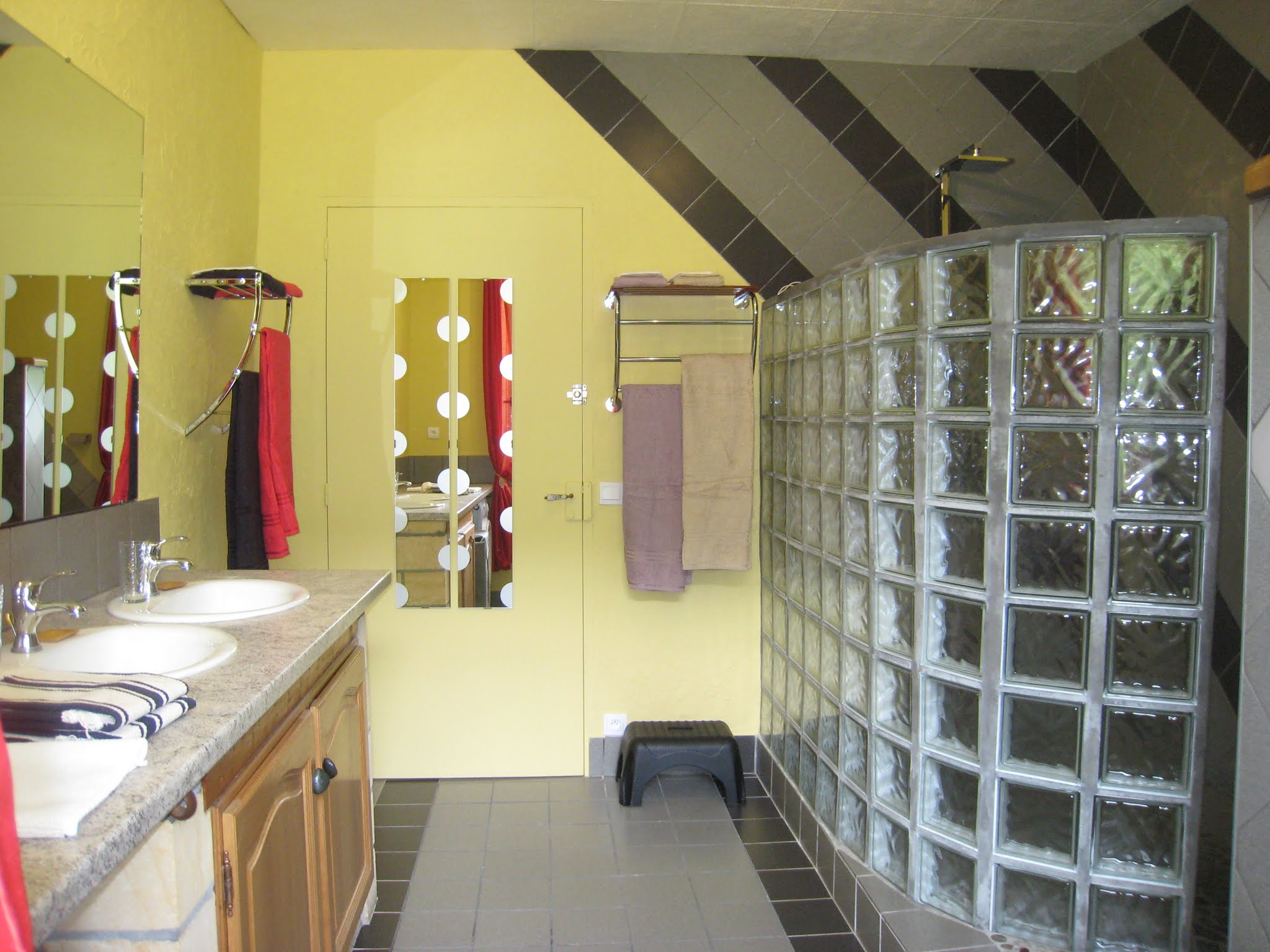 La Grenouille Qui Siffle - Le Famille, Daglan - photo 9