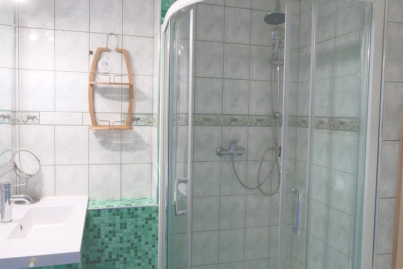 La Grenouille Qui Siffle - L'Amoureux, Daglan - photo 4