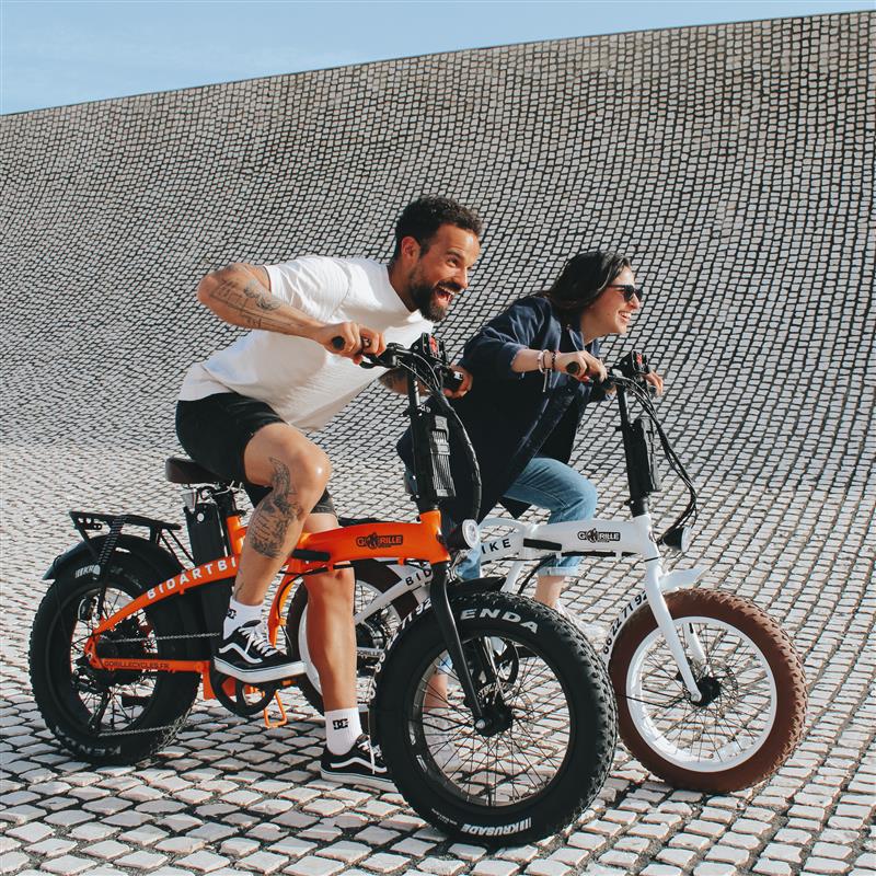 BidartBike