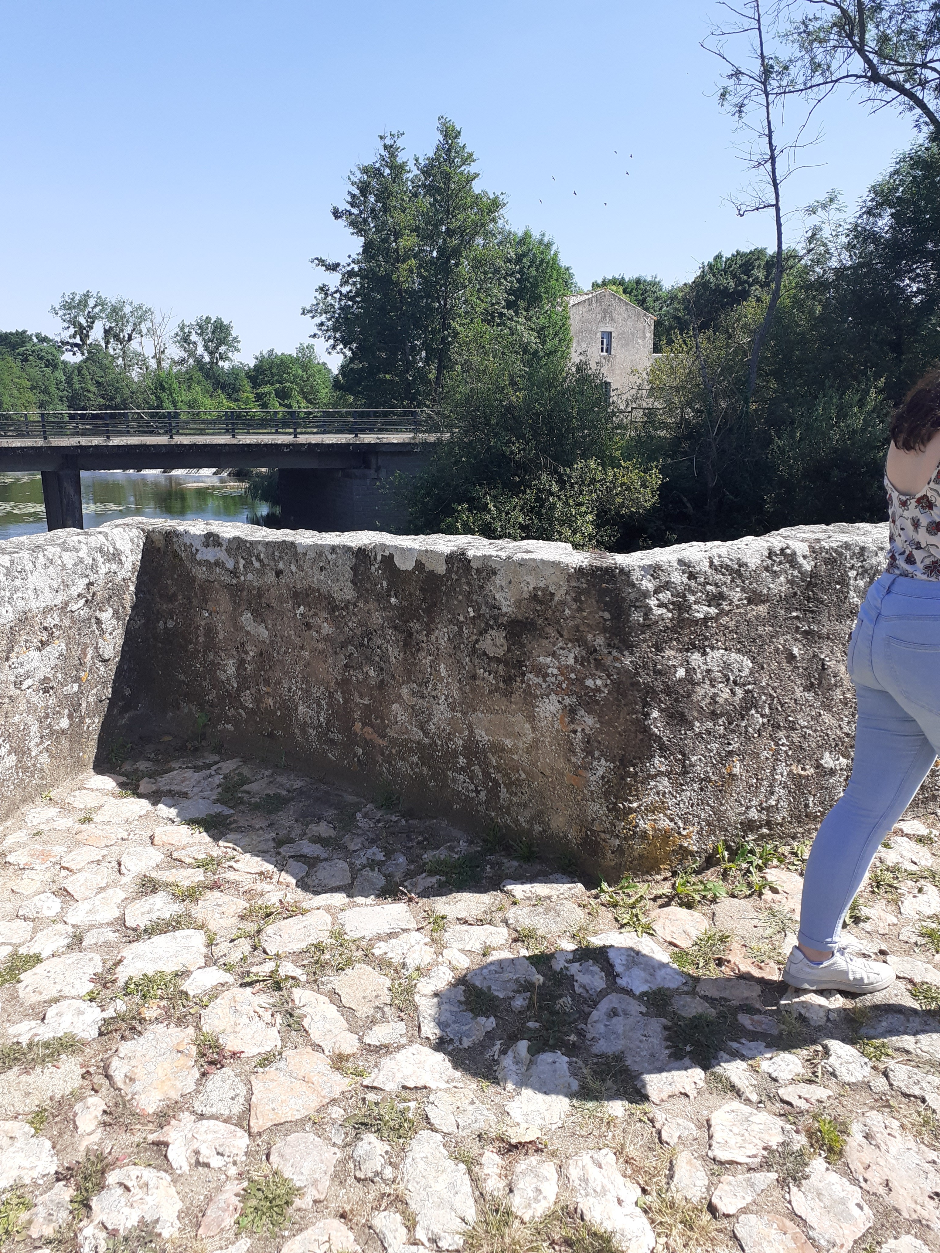 Pont Roman, Gourgé - photo 3