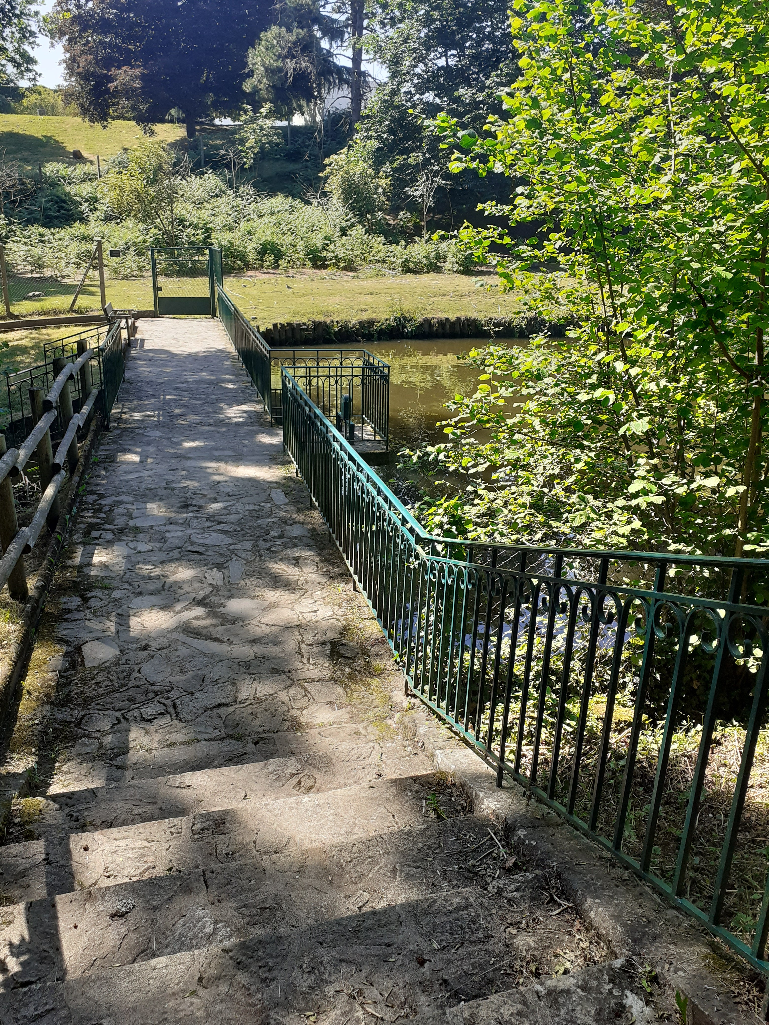 Parc animalier, Châtillon-sur-Thouet - photo 5