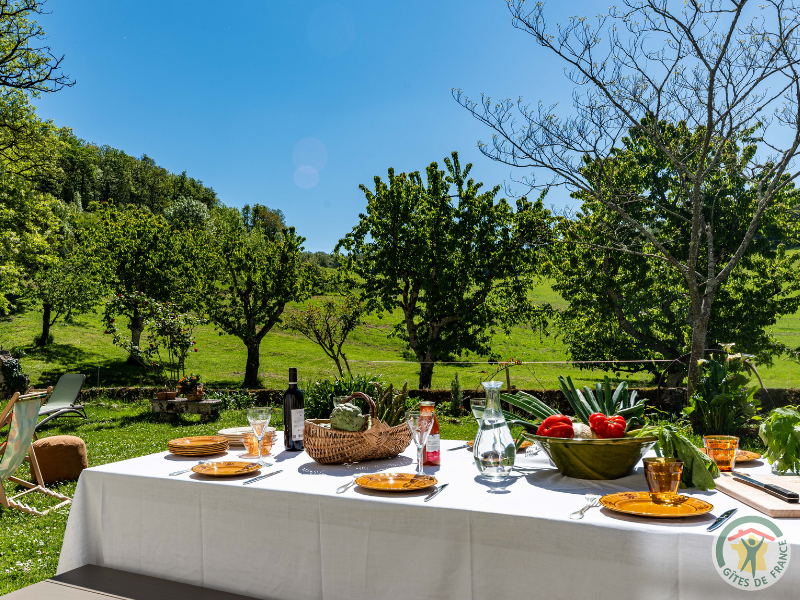 La Métairie - La maison de Ninette, Castelculier - photo 2