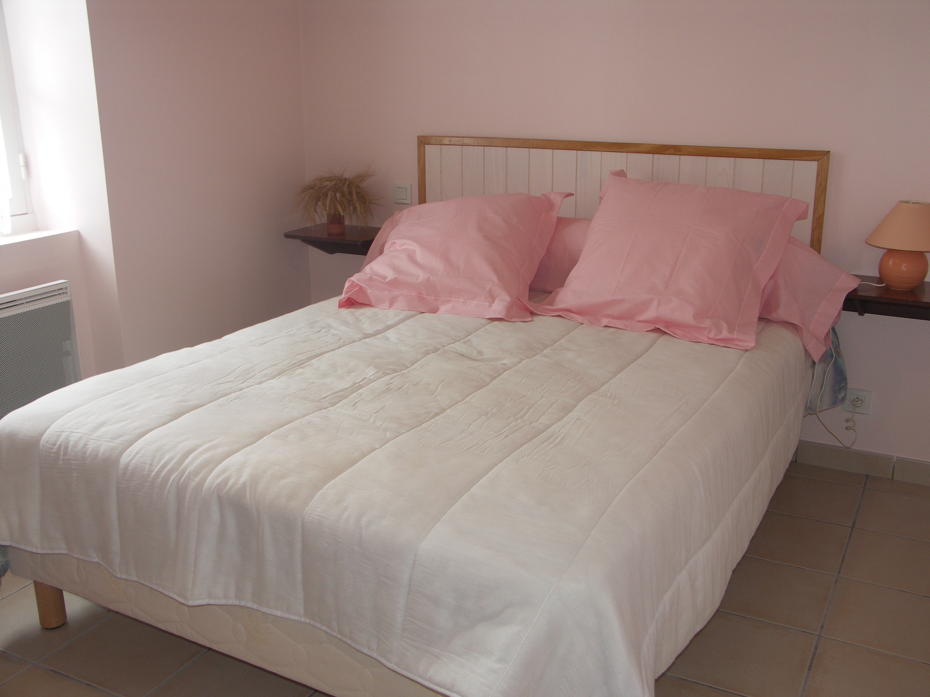 Lanes, Montgaillard - photo 3