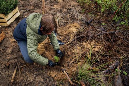 Participez à la replantation de la forêt Participez à la replantation de la forêt