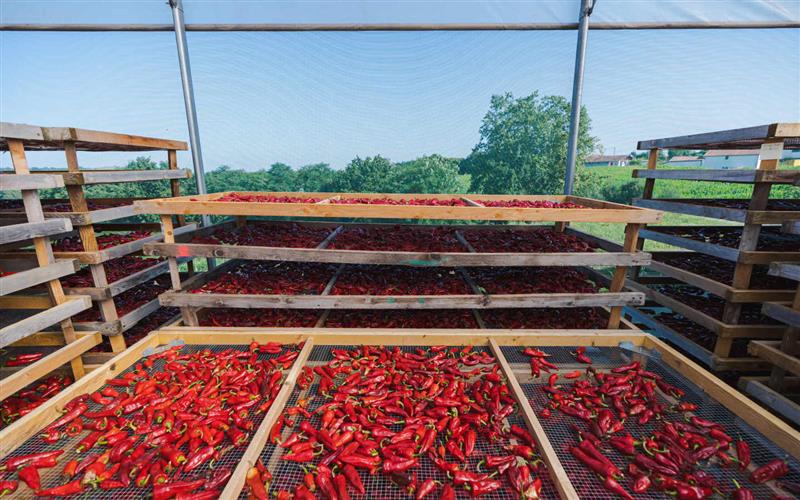 Atelier du Piment