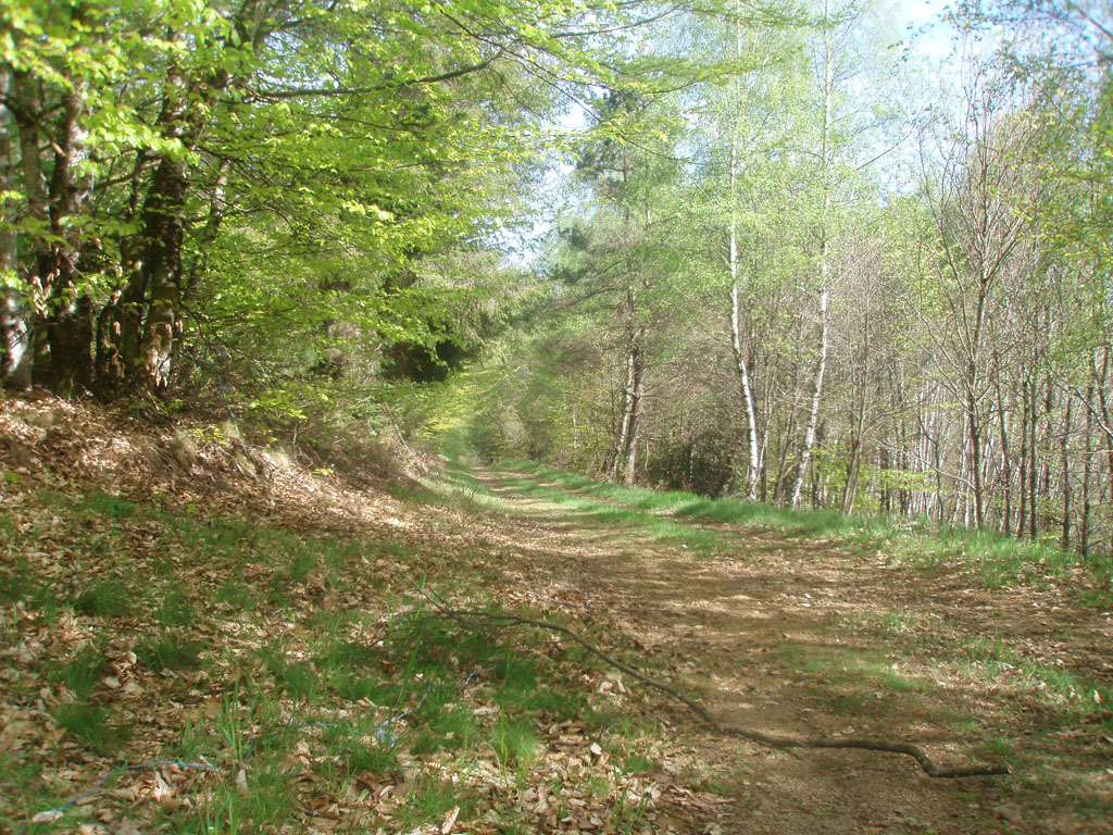 VTT - Gravel - Piste verte - 7 km - circuit 46