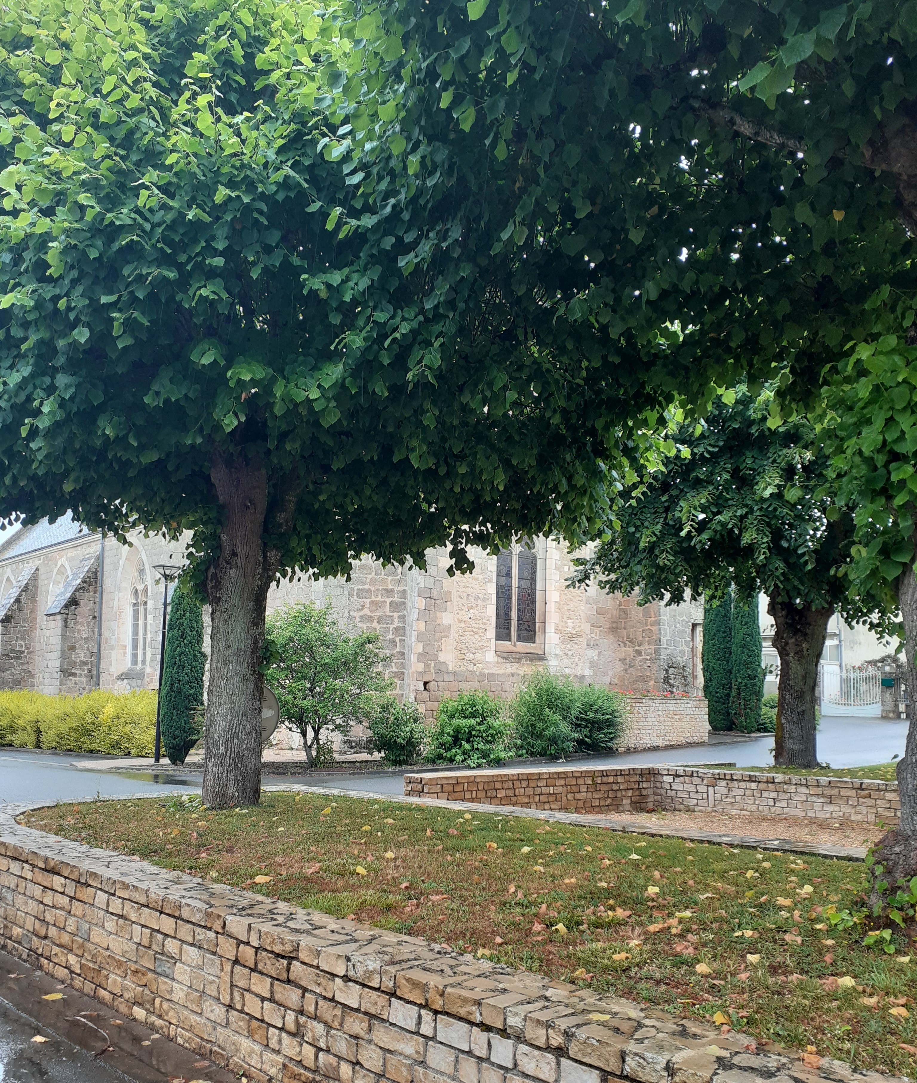 De la vallée de la Vonne à Bois Pouvreau, Ménigoute - photo 10