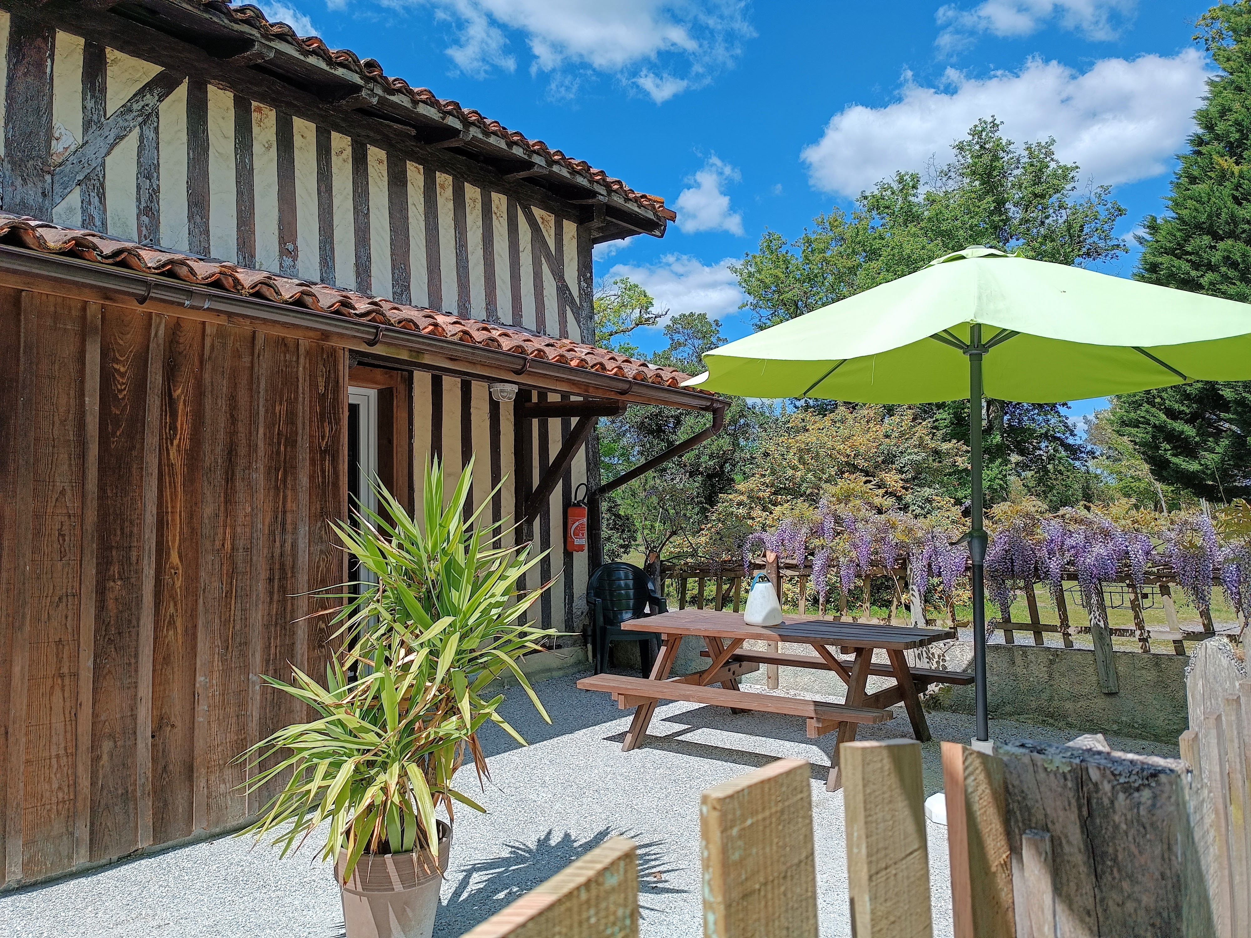 Les Platanes - photo 3