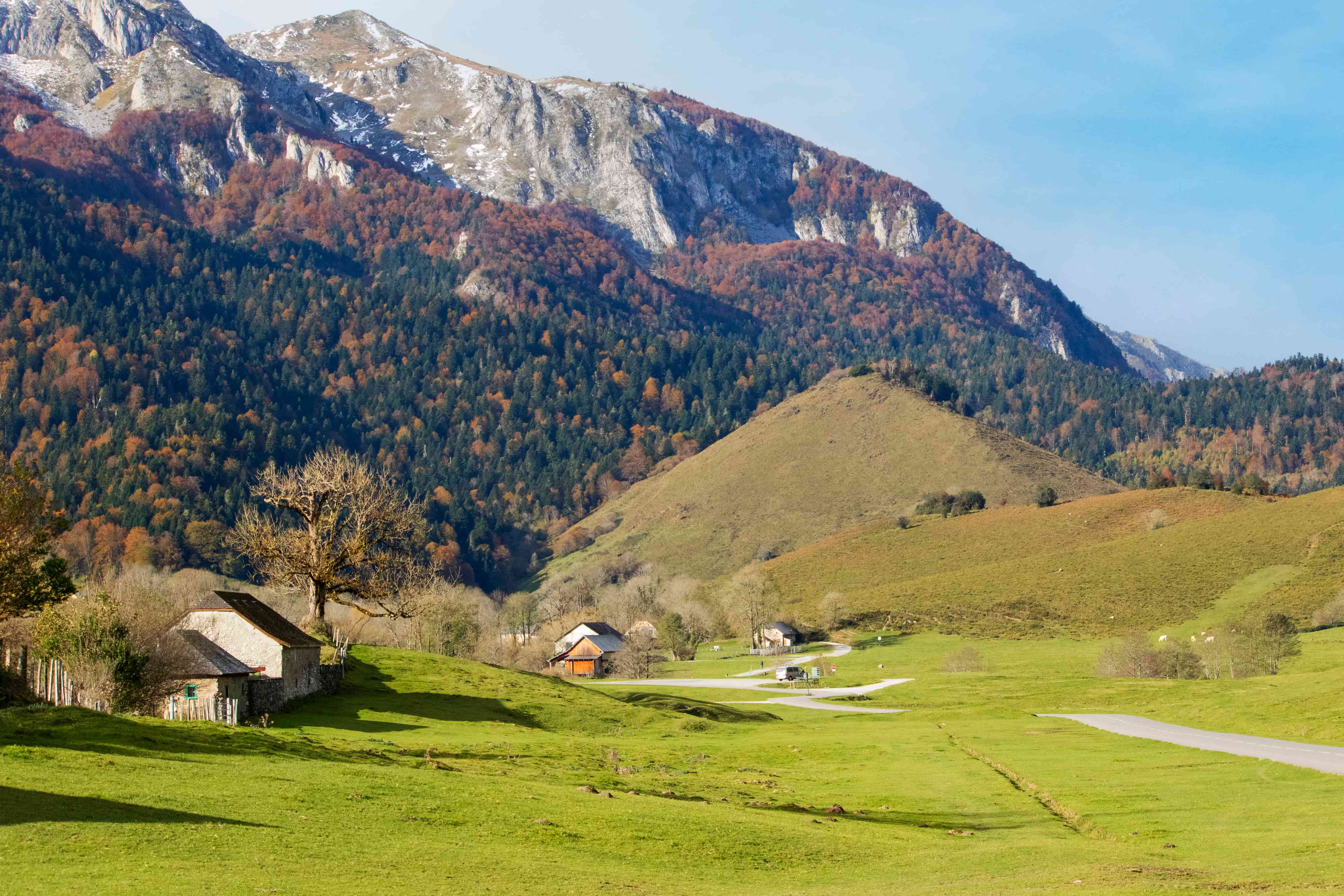 Plateau du Bénou, Bilhères - photo 5