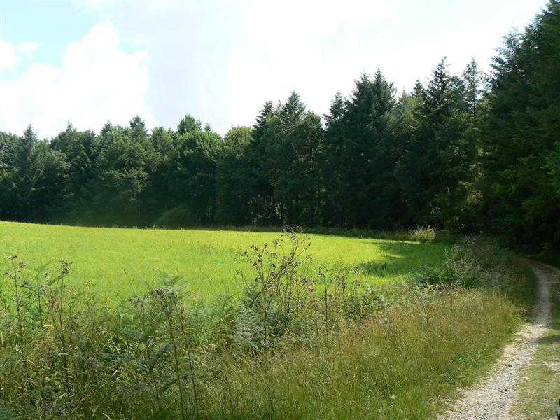 Abère : belvédère du Lées