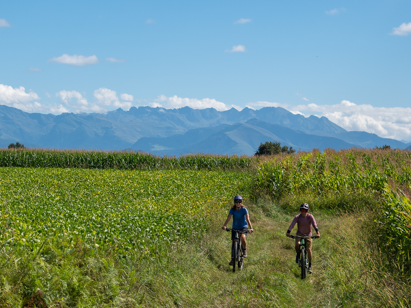 Houn de Moussu à VTT — photo 2
