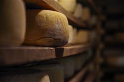 Fromage de brebis