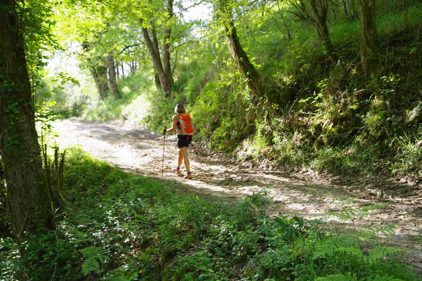 Azkonbegi, Lantabat - photo 2