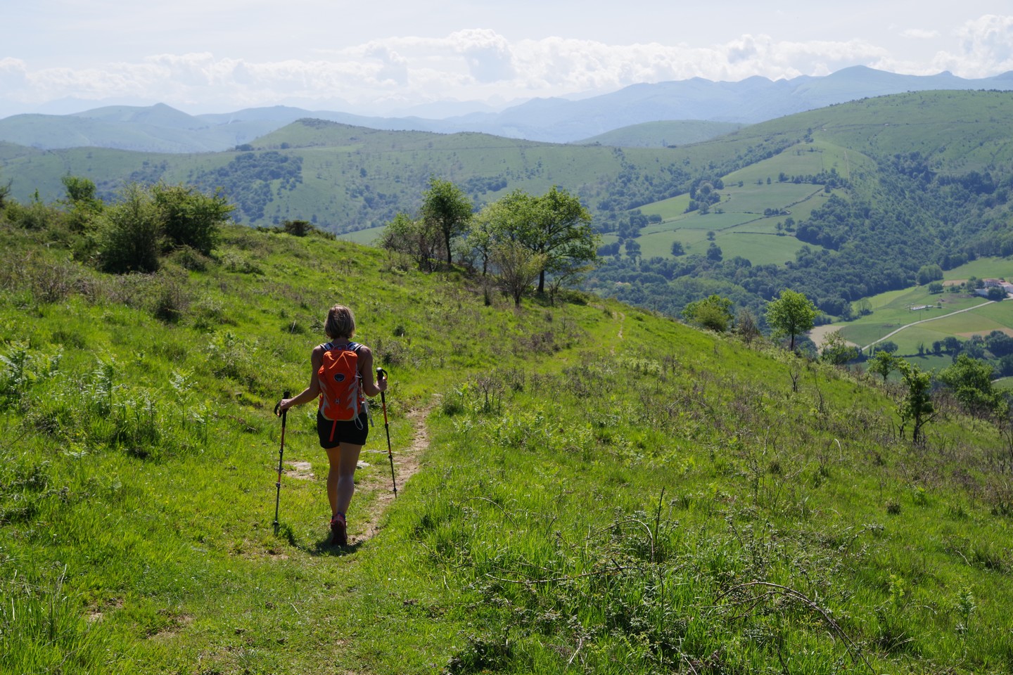Randonnée accompagnée CAPB "Azkonbegi - Parmi les petits sommets de Basse-Navarre", Lantabat - photo 3