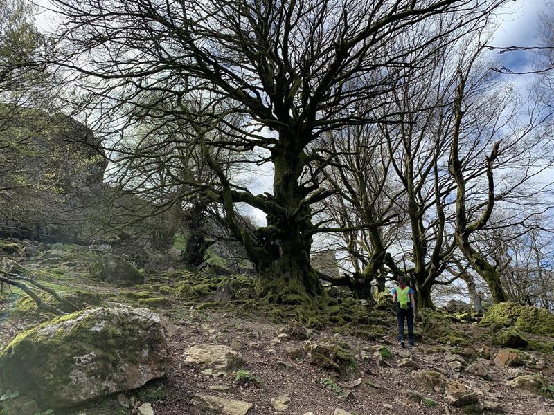 Circuit de la montagne - Trail