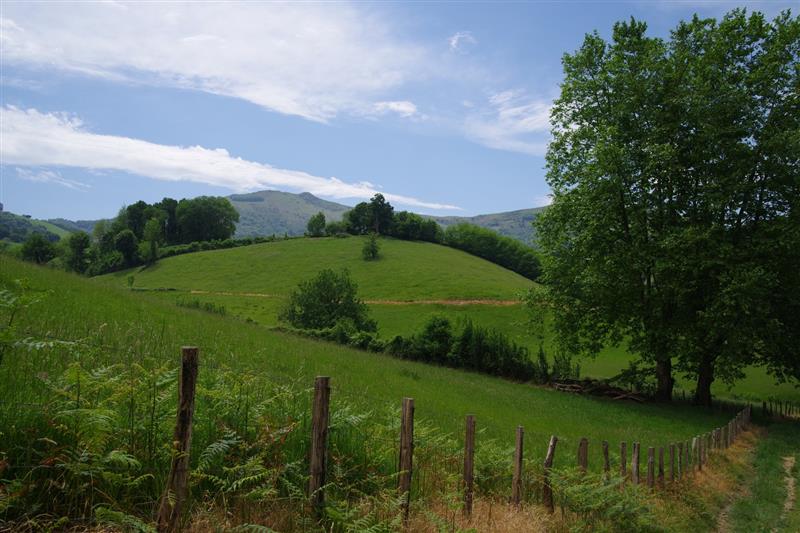 Ezkandrai
