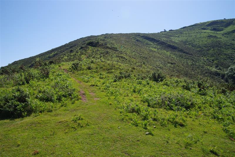 Adarre - Trail
