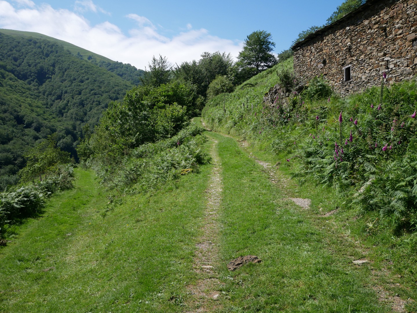 Hegantza - Trail, Arnéguy
