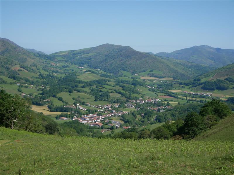 Oilarandoi