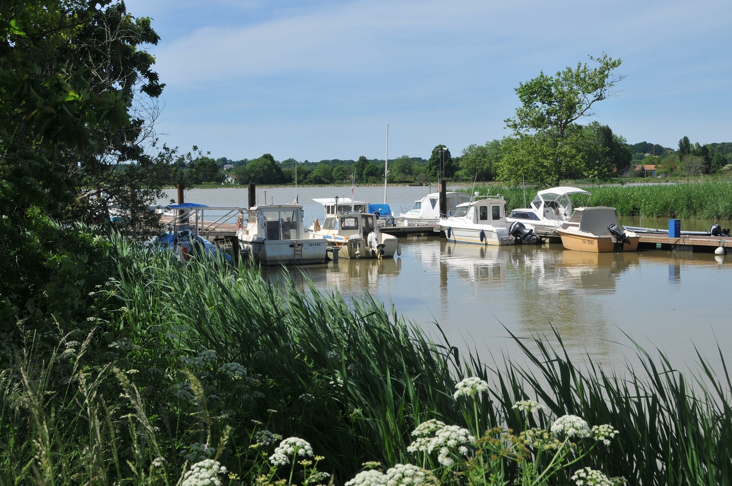 Bartas de Lahonce / Lehuntzeko bartak, Lahonce