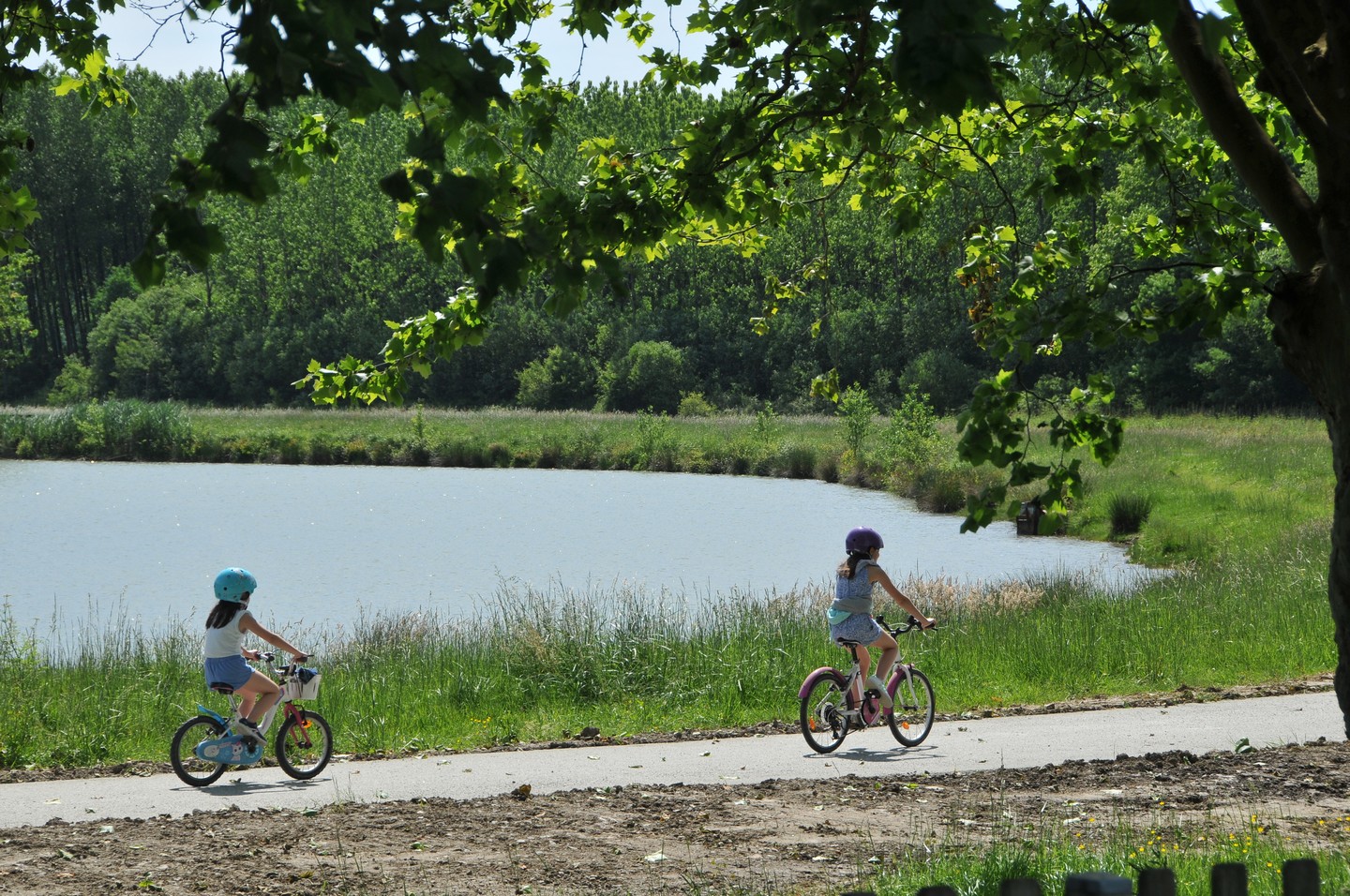 Bartas de Lahonce / Lehuntzeko bartak