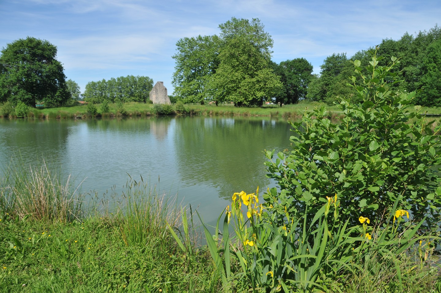 Bartas de Lahonce / Lehuntzeko bartak, Lahonce - photo 4