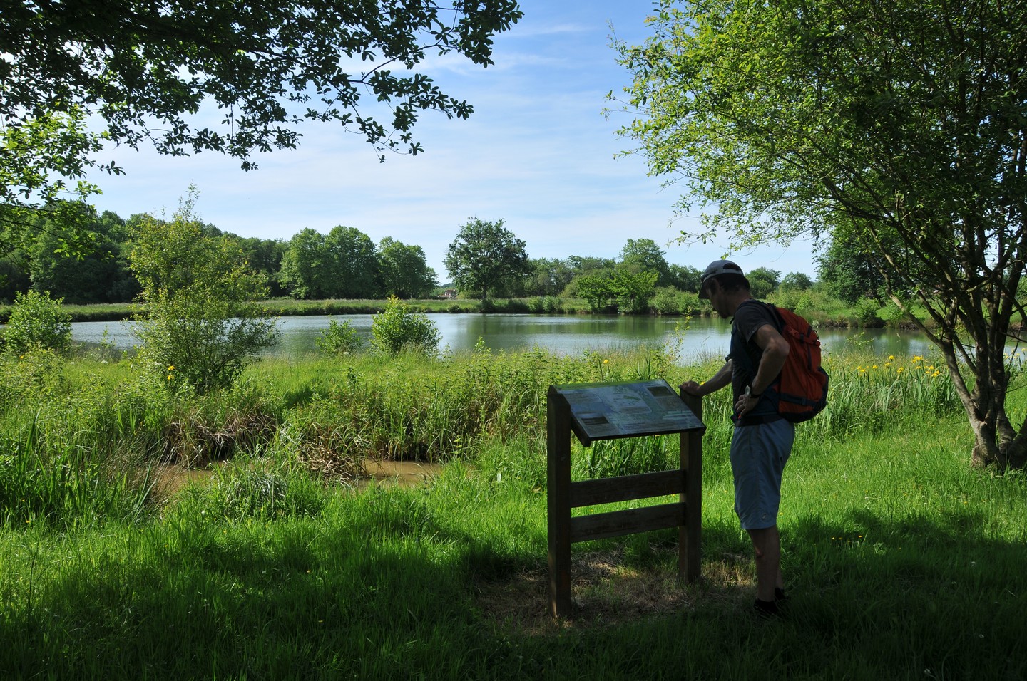 Bartas de Lahonce / Lehuntzeko bartak, Lahonce - photo 2