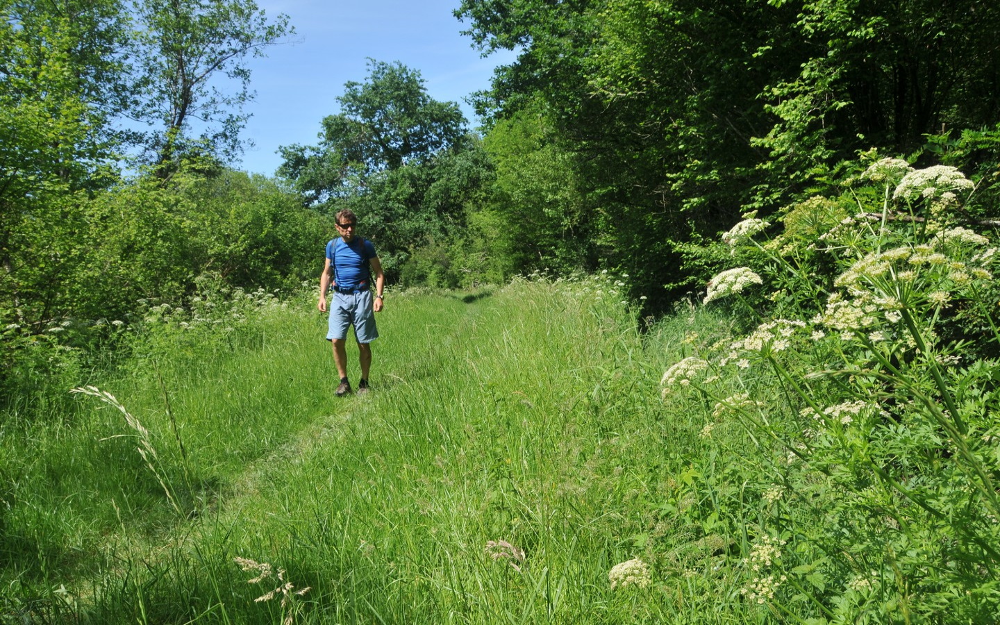 Randonnée accompagnée CAPB : Bartas de l'Ardanavy, Urcuit