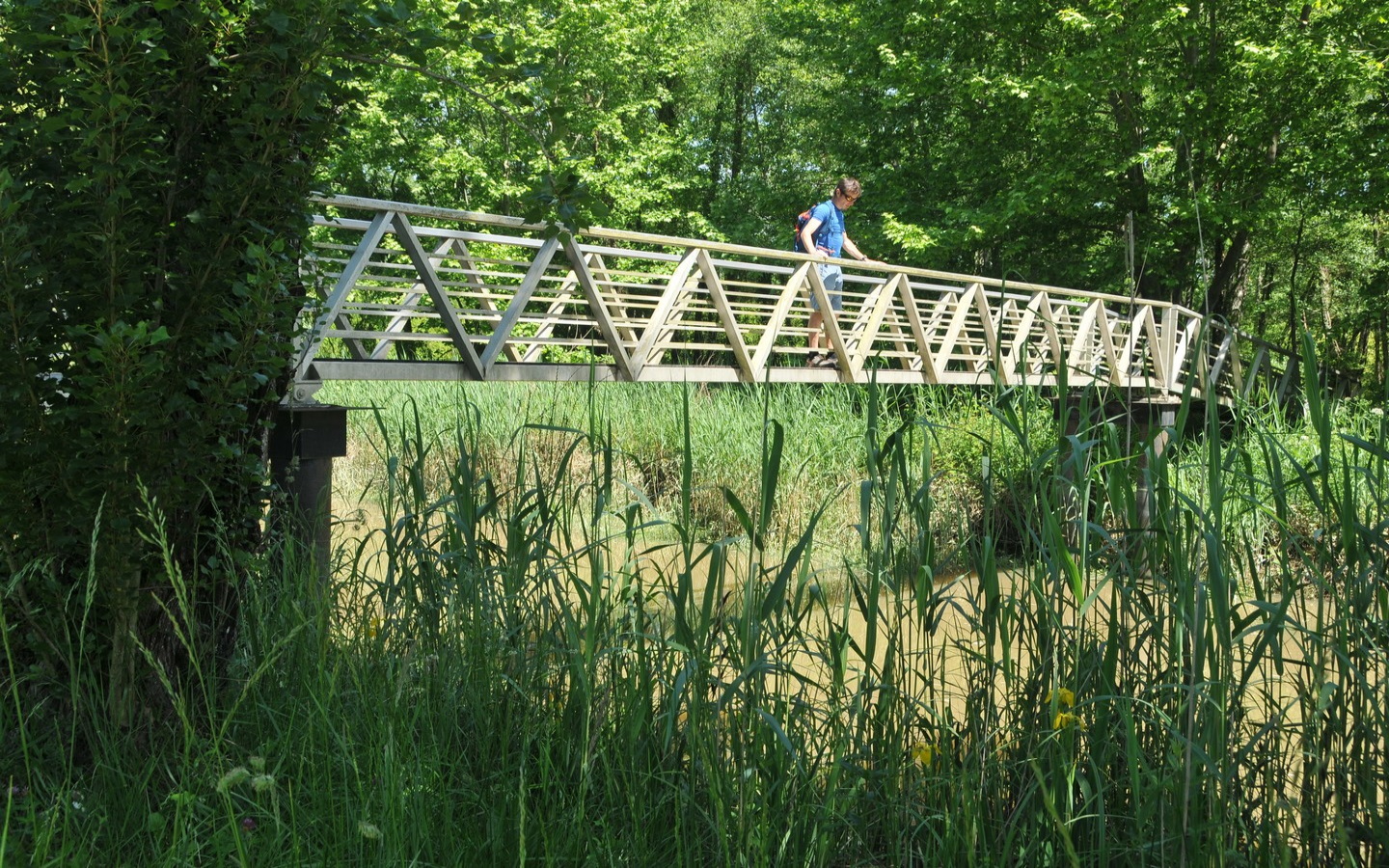 Randonnée accompagnée CAPB : Bartas de l'Ardanavy, Urcuit - photo 3