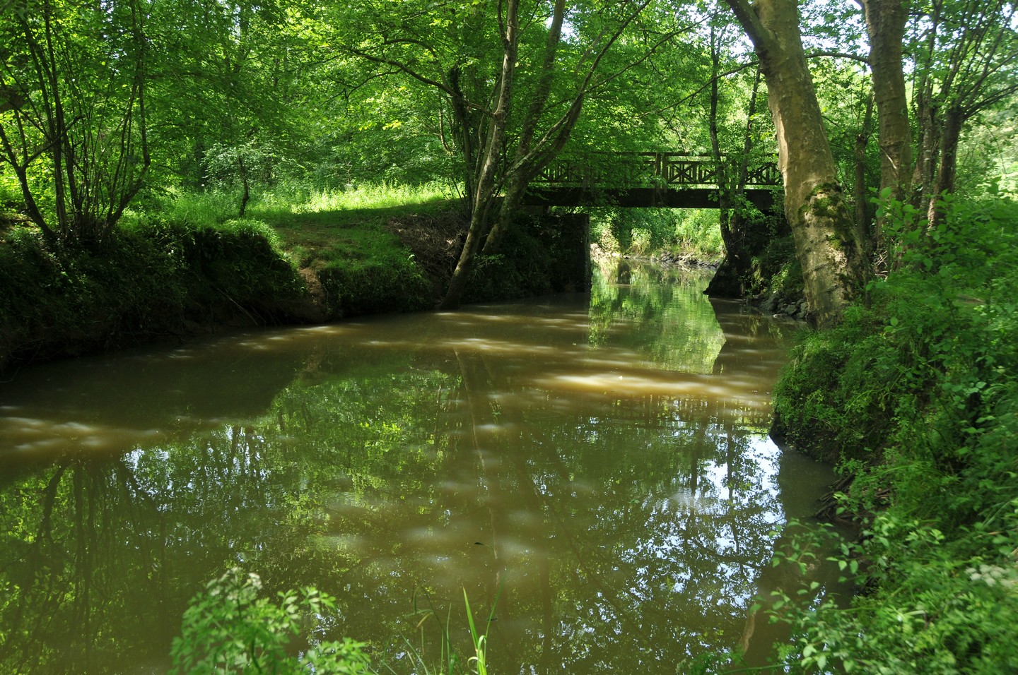Randonnée accompagnée CAPB : Bartas de l'Ardanavy, Urcuit - photo 2
