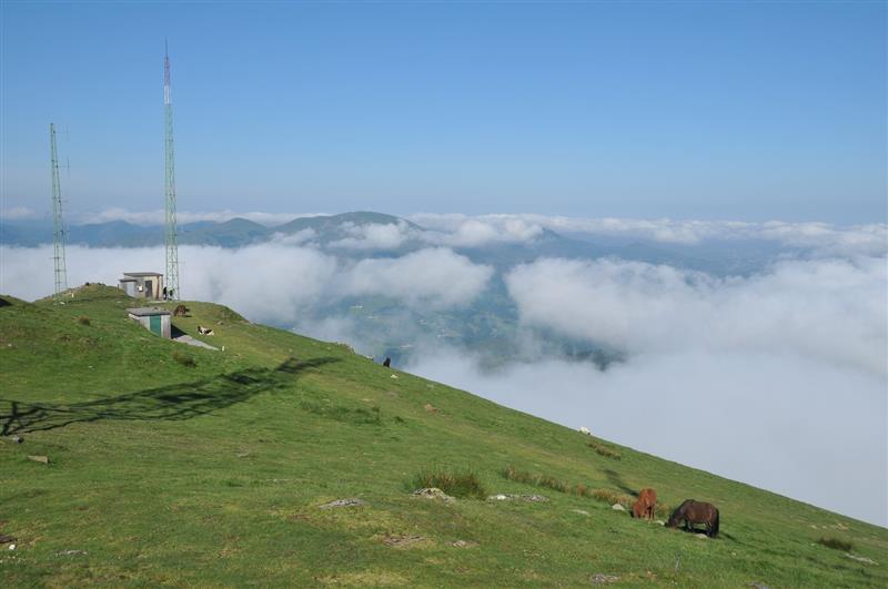 Bizkarra