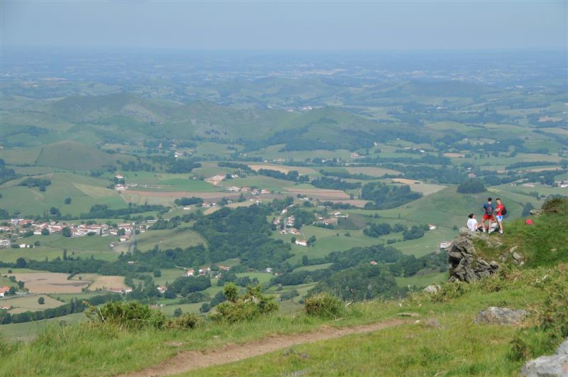 Bizkarra
