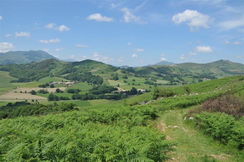 Belekarre