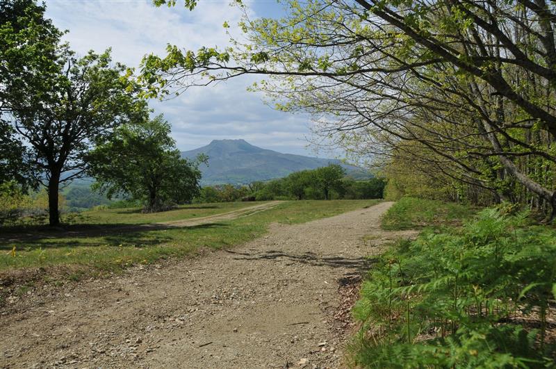 Redoutes / Gotorlekuak