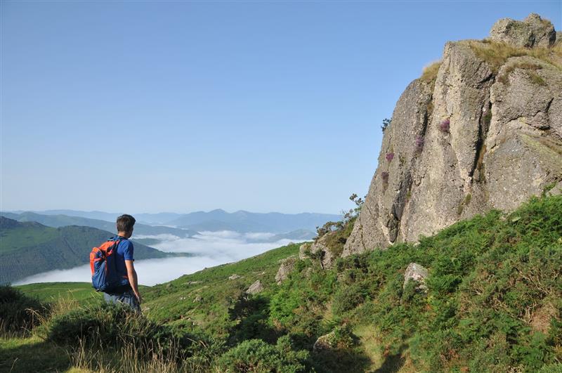 De col en col / Lepoz Lepo