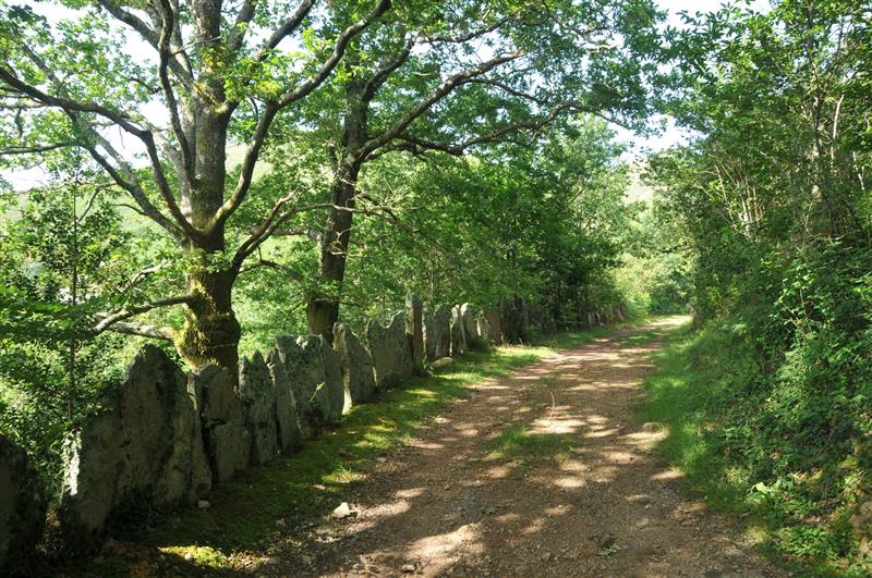 De col en col / Lepoz Lepo