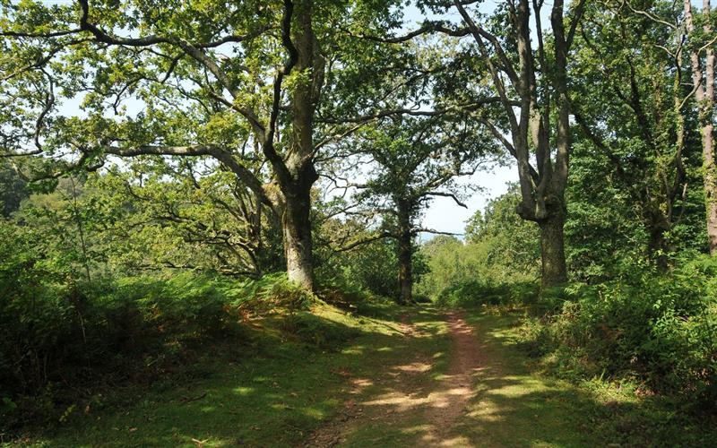 Sentier des mulets / Mandobidexka