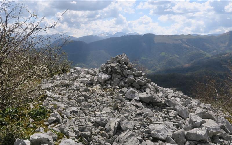 Otsibarremeheka