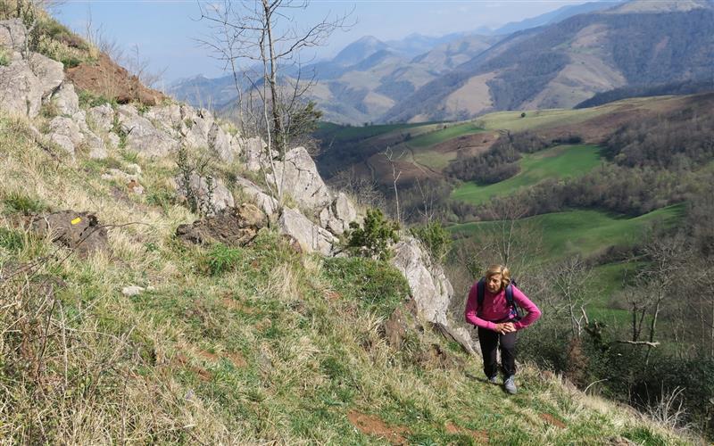 Tour d'Etchebar/Etxebarreko üngürua