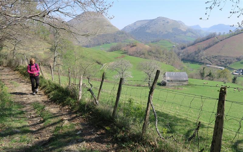 Tour d'Etchebar/Etxebarreko üngürua
