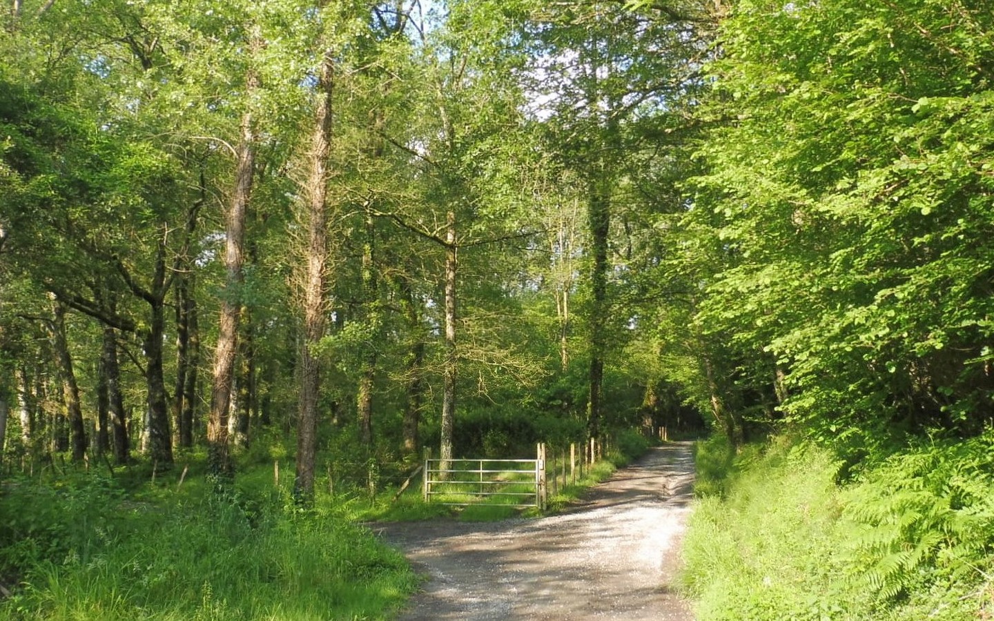 Sortie nature CPIE Pays Basque : "Qui aboie dans les bois ? ", Ostabat-Asme - photo 3