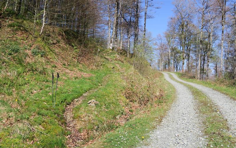 Erroimendi