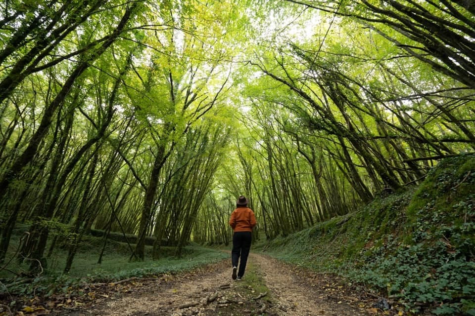 Boucle du Peyrat n°3/ Campagne, Campagne - photo 2