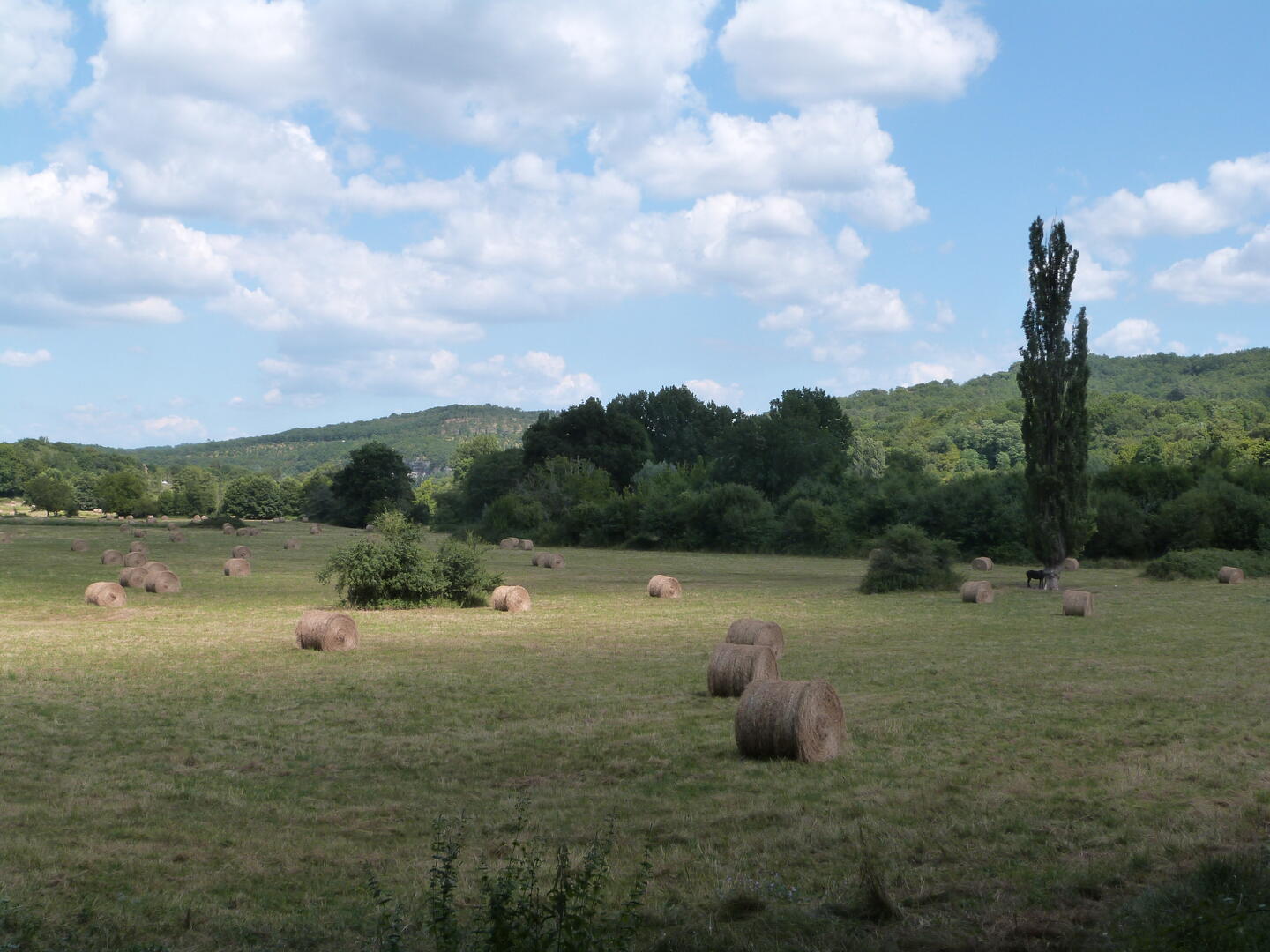Boucle de Pinque n° 32 / Rouffignac, Rouffignac-Saint-Cernin-de-Reilhac - photo 3