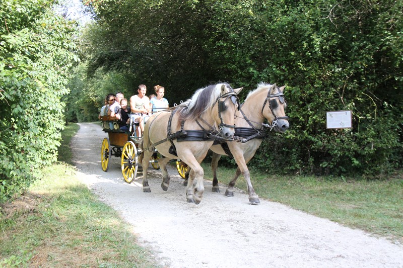 Site nature de Trotte Lapin - photo 2