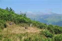 POI-2-Col3Croix-BVK_9930