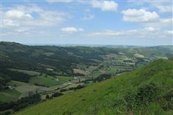 Vie de Saint-Antoine