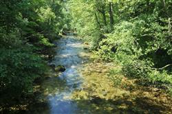 POI-3-GaveSteEngrace-BVK_9938