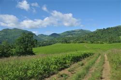 POI-3-PanoramaOzkieta-BVK_8985