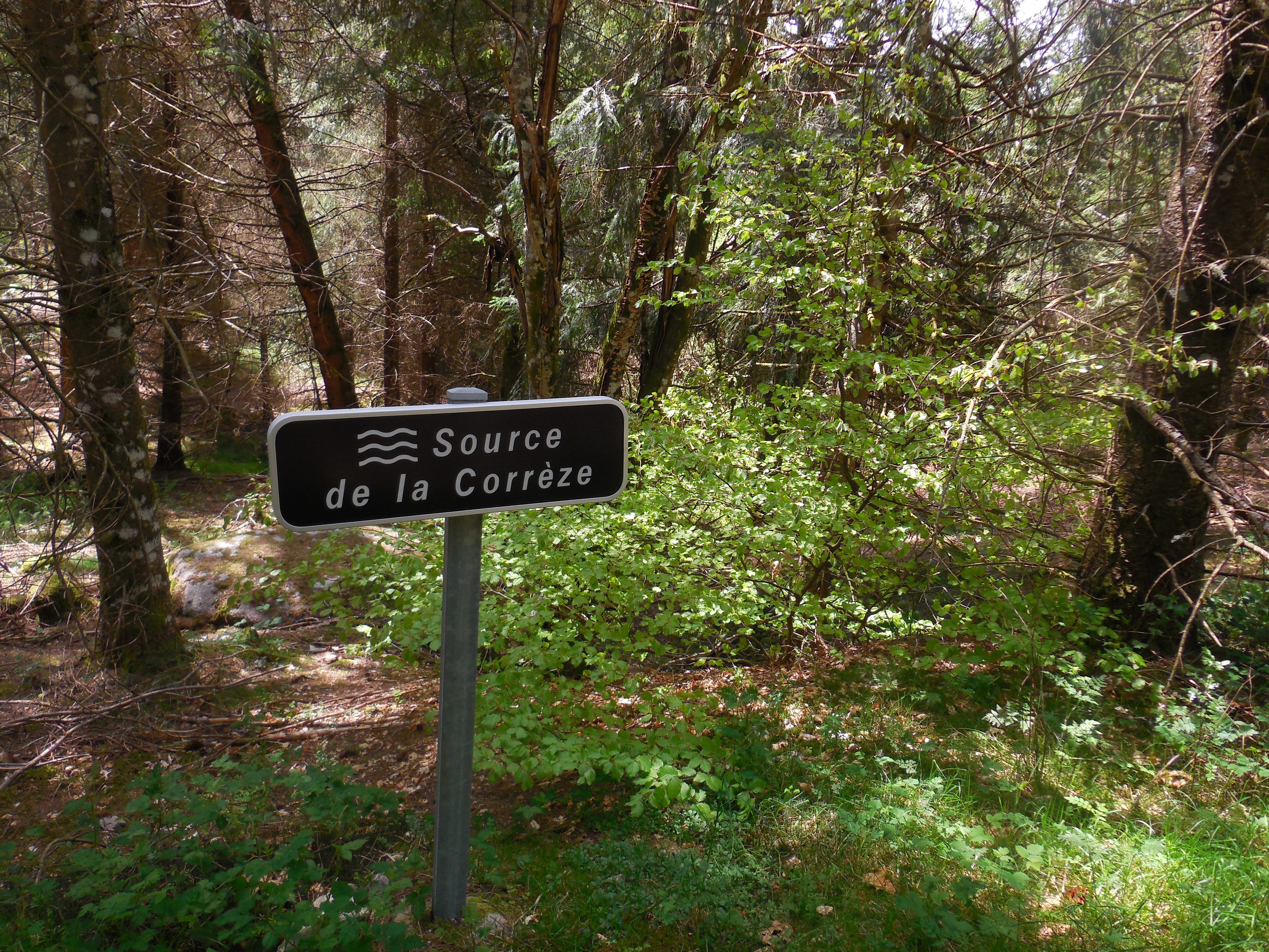 Le Site des Cars, Bugeat - photo 4